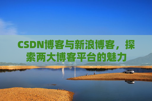 CSDN博客与新浪博客，探索两大博客平台的魅力