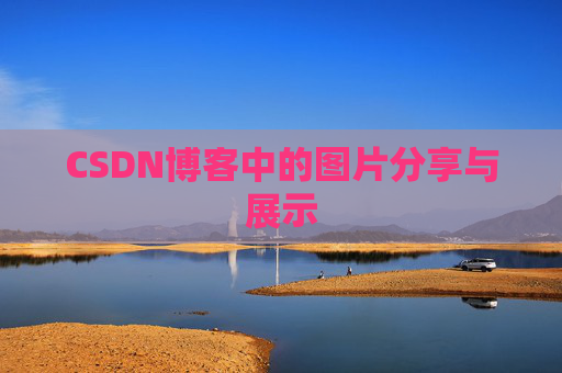 CSDN博客中的图片分享与展示